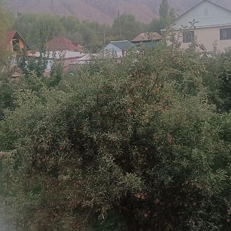 "Kamchybek Ata" Guest House B&B Tert-Kul' Kültér fotó